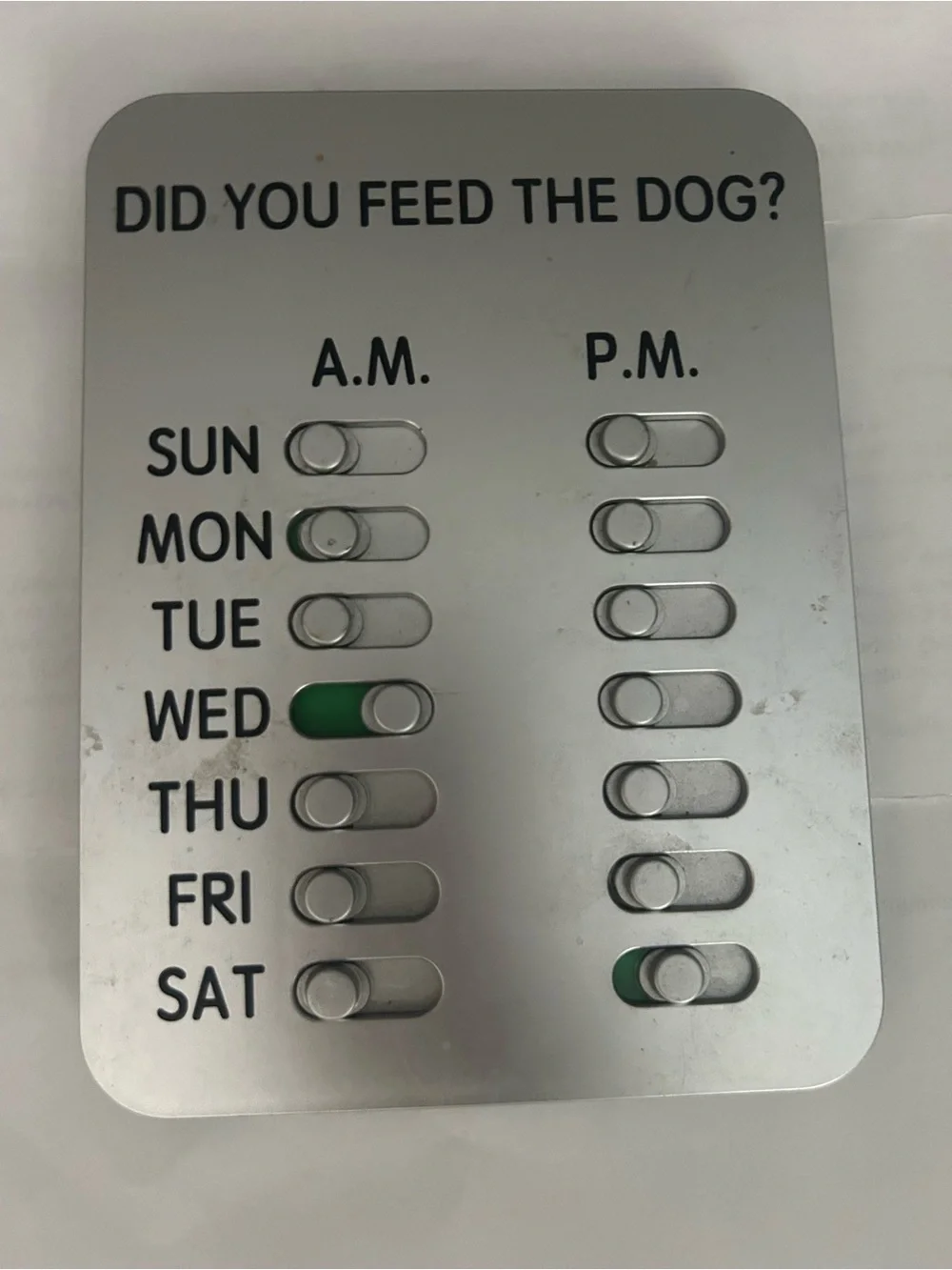 Did You Feed The Dog? Magnetic Daily AM/PM Tracker - Silver with Green Accents
